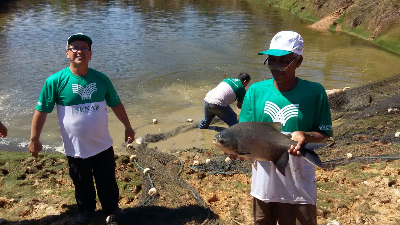 Arquivo