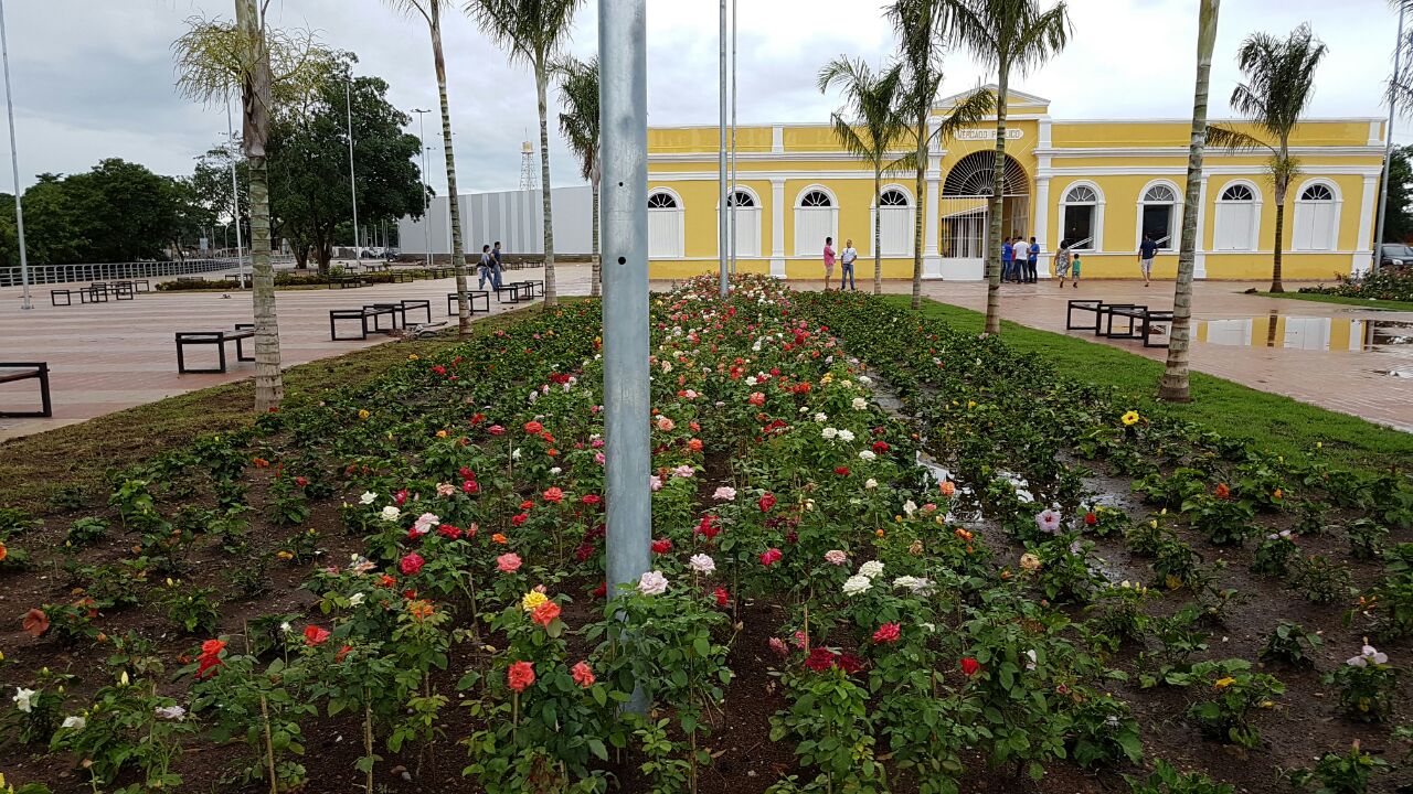 Arquivo