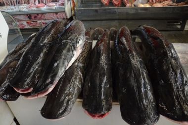 Arquivo