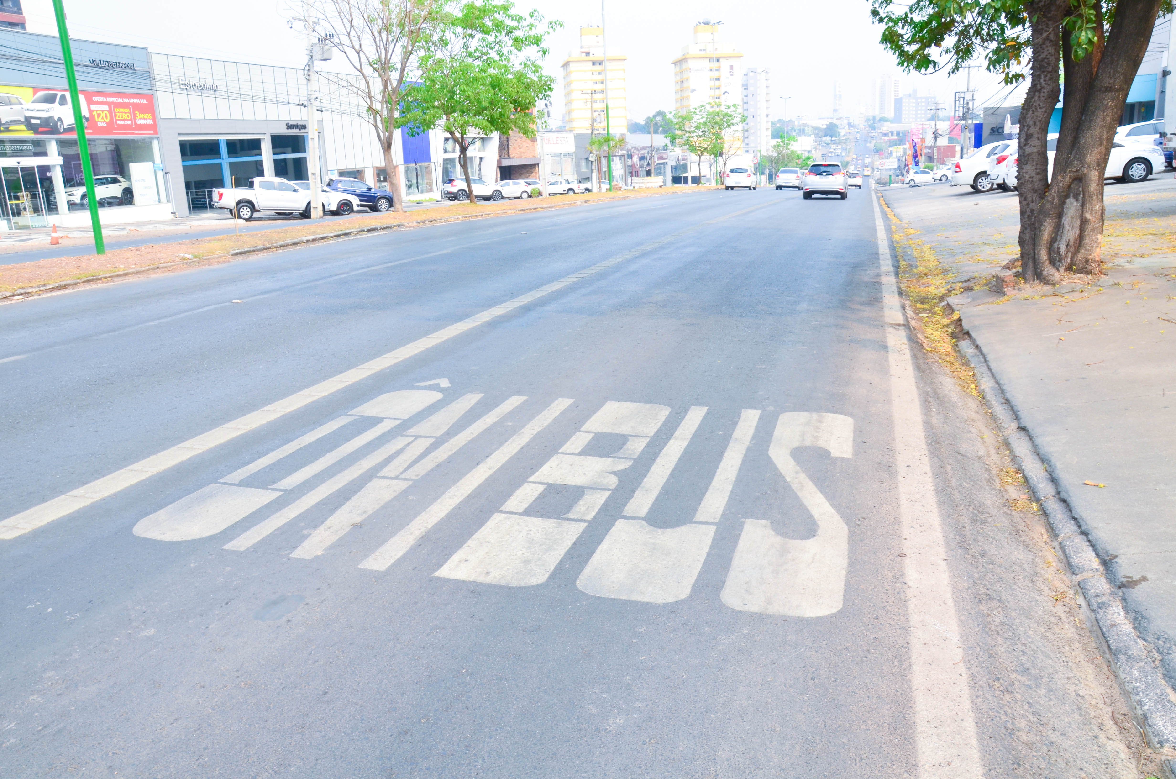 Arquivo